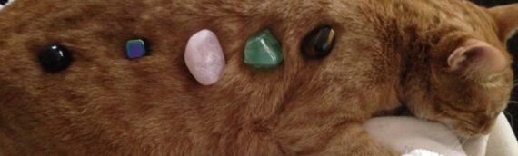 A Perfect Guide For Crystal Healing For Pets