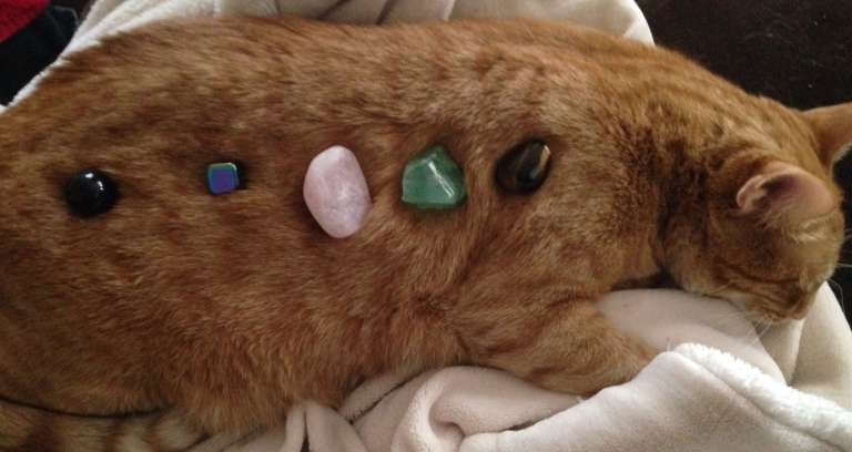 Crystal Stones Placed On A Cat.